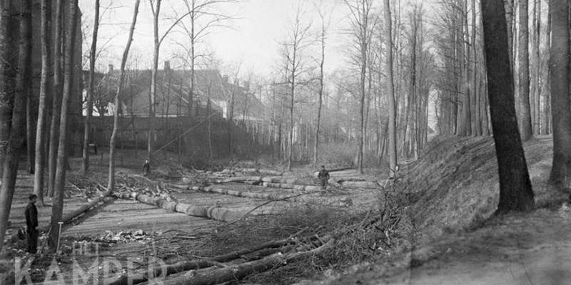 7b. Elburg 1907, houtkap achter de kerk ten behoeve van de aan te leggen tramlijn