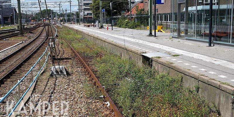36u. Zwolle 6 augustus 2017, het ongewijzigde en overwoekerde spoor in station Zwolle in station (foto K. Haar)